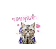 858945421