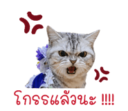 858945424