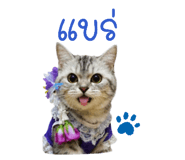 858945426