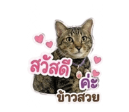 858946826