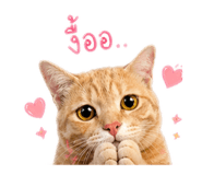858948086