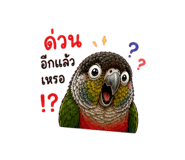858949392