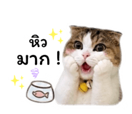 858952190