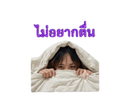 858952404