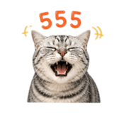 858952914