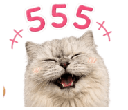 858953569