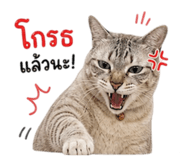 858956863