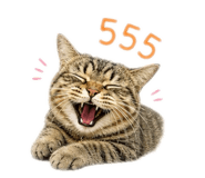 858957616