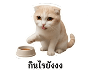 858958555