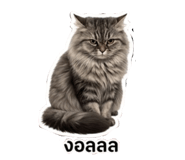 858958560