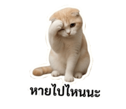 858958565