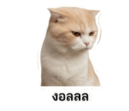858958566