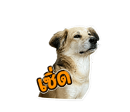 858958625