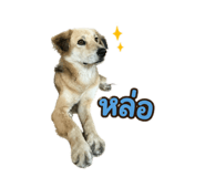 858958631