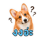 858959152