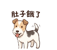 858960621