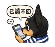 858960787