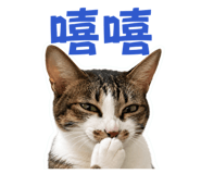 858960974
