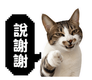 858960984