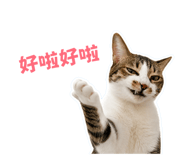 858960990