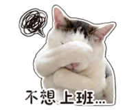 858961063