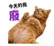 858961176