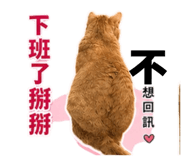 858961181