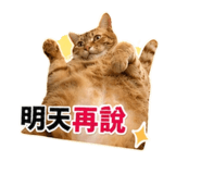 858961184