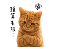 858961830