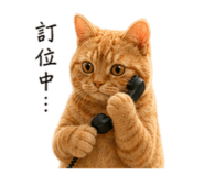858961836