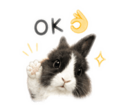 858962452