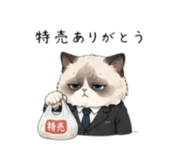858962494