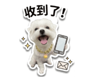 858962528