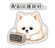 858962637