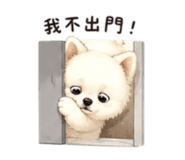 858963198