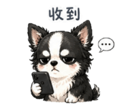 858963606