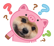 858963687