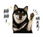 858963922
