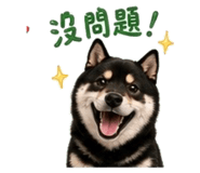 858963923