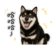 858963924