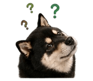 858963935