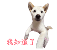 858963974