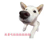 858963975