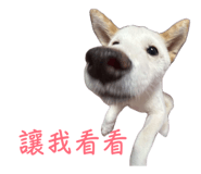 858963976