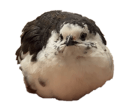 858964200