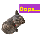 858964293