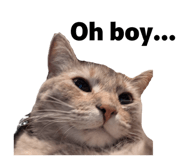 858964294