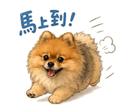 858964336