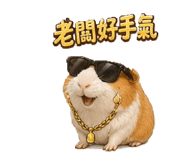 858964404