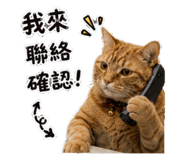 858964983